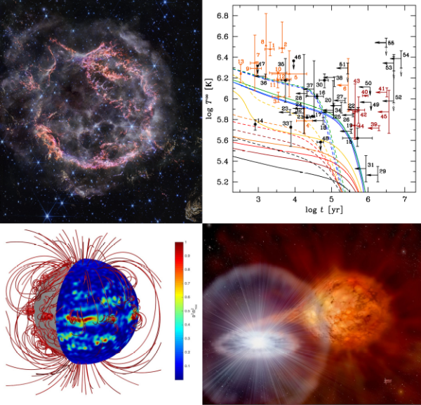 Clockwise from top left: Cas-A supernova remnant as seen by JWST, neutron star cooling curves, artist's impression of an X-ray burst, magnetic field evolution simulation snapshot